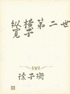 纵横第二世界 宽子