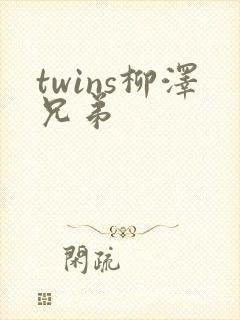 twins柳泽兄弟封面