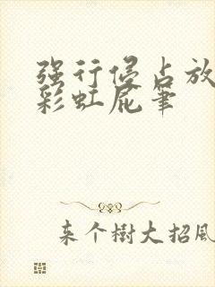 强行侵占放了个彩虹屁笔封面