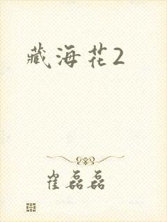 藏海花2