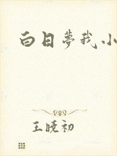 白日梦我小说