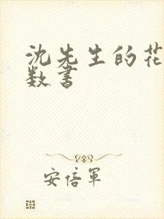 沈先生的花式调数书封面