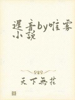 迟音by唯雾的小说