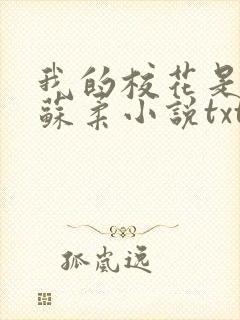 我的校花是福姬苏柔小说txt