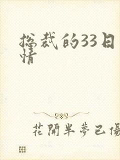 总裁的33日索情