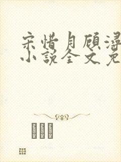 宋惜月顾浔渊的小说全文免费阅读