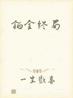 铂金终局