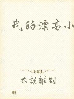 我的漂亮小后妈