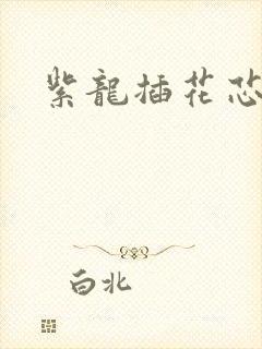 紫龙插花芯