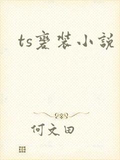 ts变装小说
