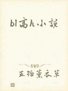 bl高h小说