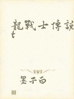 龙战士传说txt