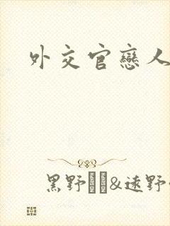 外交官恋人小说