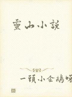灵山小说
