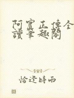 阿宾正传全文阅读笔趣阁封面