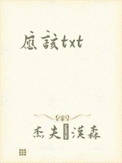 应该txt封面