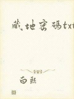 藏地密码txt