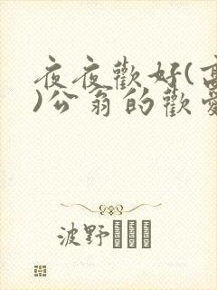 夜夜欢好(高h)公翁的欢爱