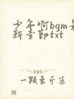 少年啊bgm最新章节txt封面