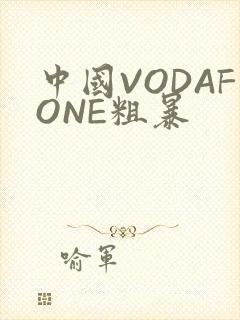 中国VODAFONE粗暴