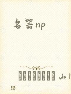 名器np