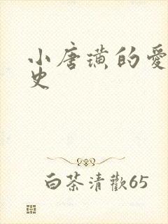 小唐璜的爱情历史