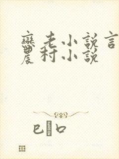恋老小说言情网农村小说封面