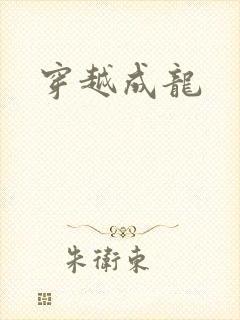 穿越成龙封面