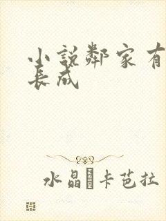 小说邻家有女初长成封面