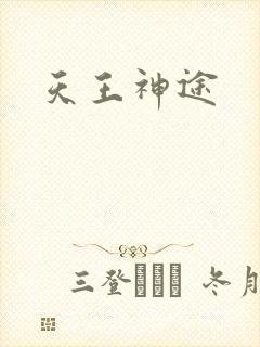 天王神途封面