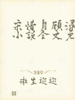 宋惜月顾浔渊的小说全文免费阅读封面