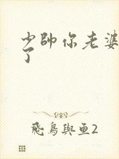 少帅你老婆又跑了