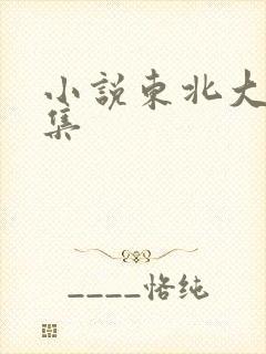 小说东北大炕全集