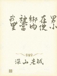 我被绑在男公厕里当肉便小说