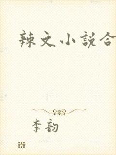 辣文小说合集