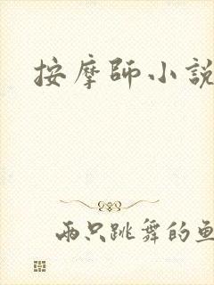 按摩师小说封面