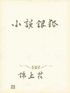 小说银狐