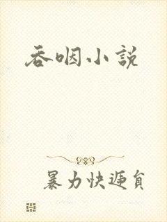 吞咽小说