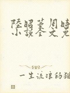 陆昭菱周时阅的小说全文免费阅读