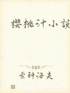 樱桃汁小说