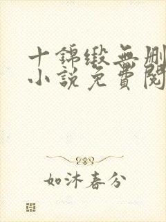 十锦缎无删原著小说免费阅读