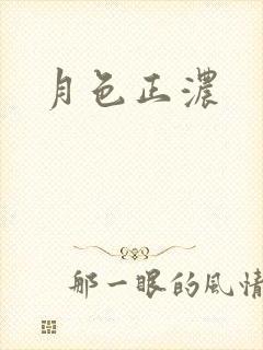月色正浓封面