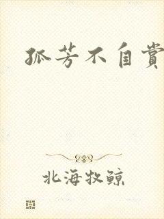 孤芳不自赏小说