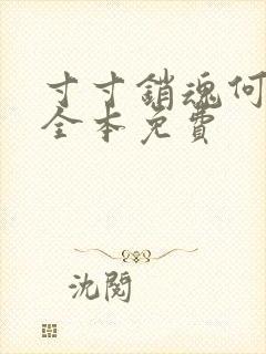 寸寸销魂何生祥全本免费封面