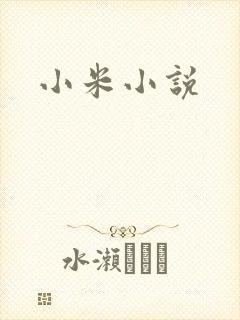 小米小说