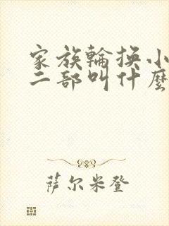 家族轮换小说第二部叫什么名字