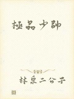 极品少帅