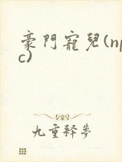 豪门宠儿(npc)