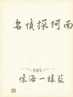 名侦探柯南h封面