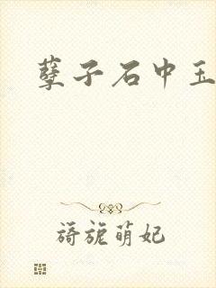孽子石中玉